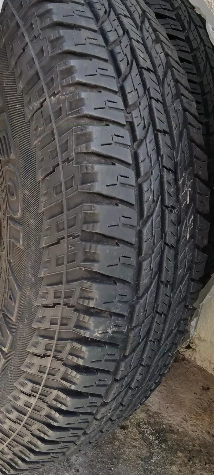 ヨコハマ　ジオランダー