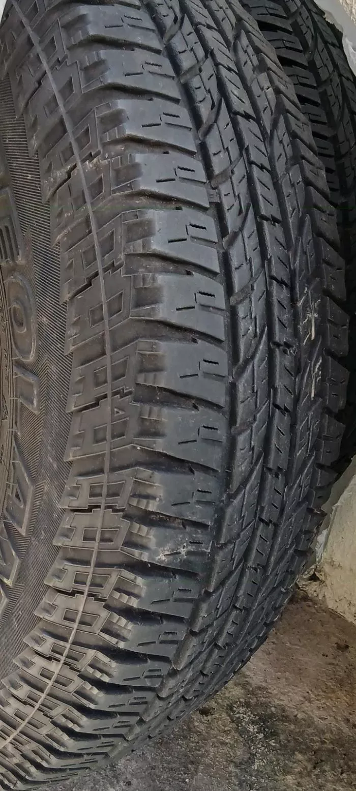 ヨコハマ　ジオランダー